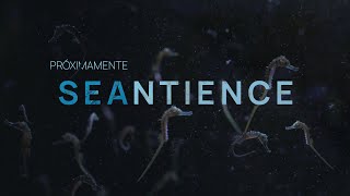 Documental SEANTIENCE - Teaser