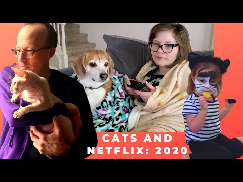 Cats And Netflix 2020 Shelter In Place Song - The Doubleclicks