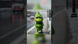 The Sad Life of a Grinch.💔