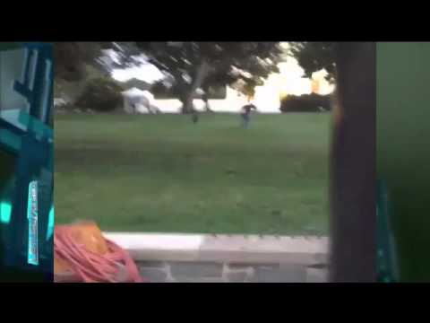 Casa Branca é evacuada após invasão - Leitura Dinâmica 19/09/2014