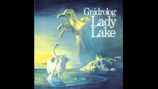 Gnidrolog - Same Dreams