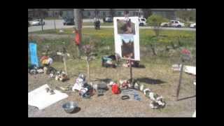 Talk To The  Man In The  Mirror About  Animals