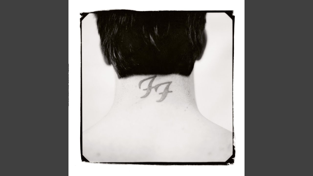 Foo Fighters - Live-in Skin