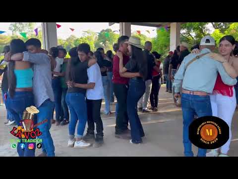 TRADICIONAL AMANECIDAS EN EL BARRIGÓN DE VIGUI DE LAS PALMAS VERAGUAS 