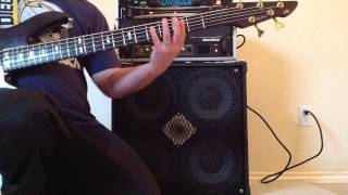 Video thumbnail for SWR Goliath II by BassOnDrums