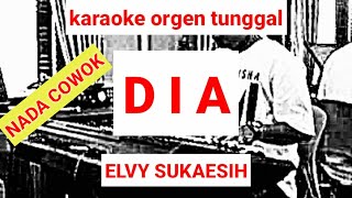 Download lagu D I A ( NADA COWOK ) / ELVY SUKAESIH / KARAOKE ORGEN TUNGGAL mp3
