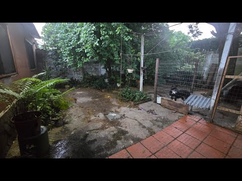 Apartamento de dos dormitorios en alquiler en Nuevo Paris, Montevideo #siripropiedades