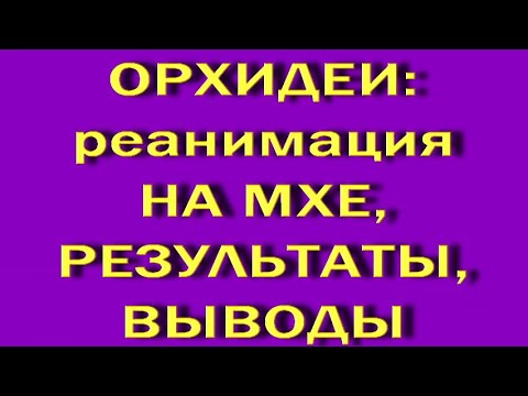 ТРИ месяца РЕАНИМАЦИИ орхидей НА МХЕ в тепличке:РЕЗУЛЬТАТЫ,выводы.