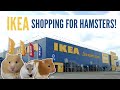 IKEA Shopping For Hamsters!