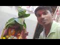 Chicken Bana Rahe Hun I Am Making Chicken Vlog Vlogvideo Chickenrecipe