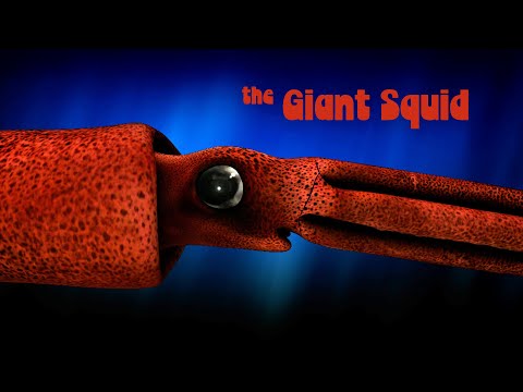 Inside Nature’s Giants – Giant Squid