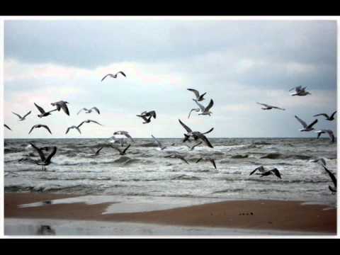 Kinesus - When Stars Collide