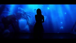 DAZBEE (ダズビー) | ‘Nemuranai Yume’ Live Clip