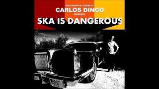 Carlos Dingo - Mision Andalucia
