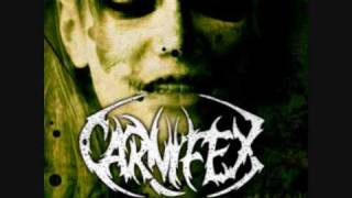 Carnifex - The Diseased And The Poisoned (with lyrics/subtitles)
