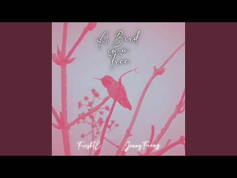 A Bird in a Tree (feat. Jenny Franz)