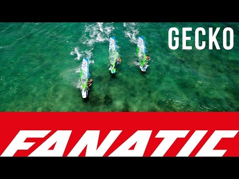 Fanatic Gecko 2016