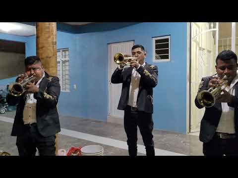 Banda El Retoño de San Pedro y San Pablo Tequixtepec Huaj. Oax./ San Nicolás Tepoxtitlan Atex Pue.