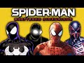Marvel S FIRST Spider Verse Spider Man Shattered Dimensions Retrospective Review