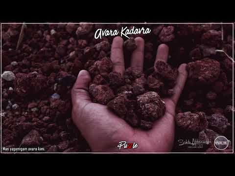 Puzzle - Avara Kadavra