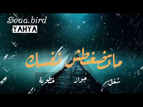 yehyaali’s Video 164778507571 E9NMFQbNBZg