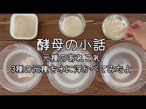 トマト酵母の使い方は？あまり知られていないが効果的な肥料に注目！  庭園