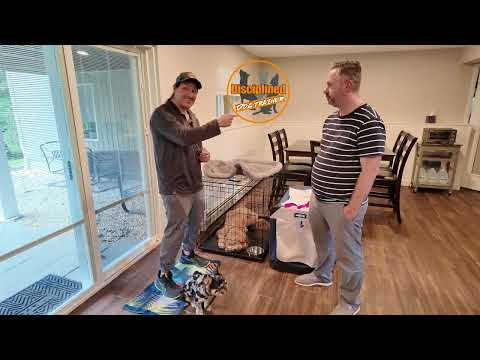 Watch on YouTube