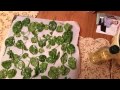 Spinach Chips Recipe Oven Free Download Music Mp3 and Mp4