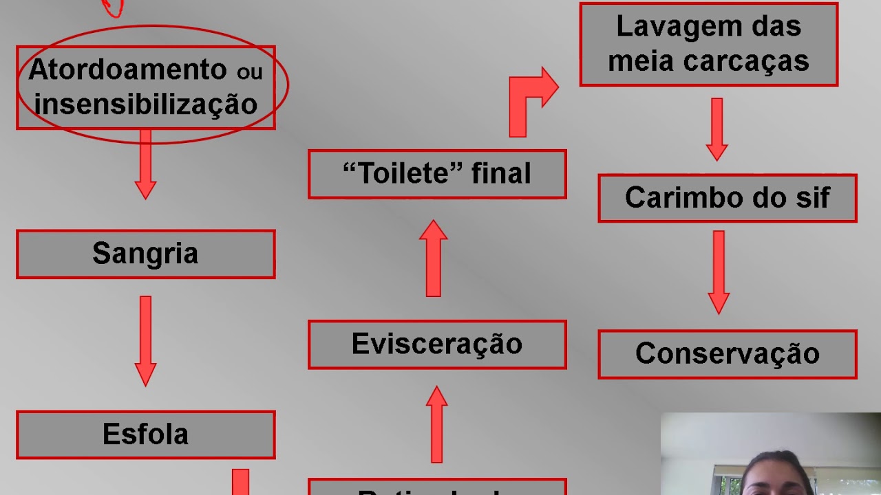 Aula 8 Parte1 Tecnologia de carnes video