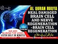 STRONG AL QURAN RUQYAH CURE HEAL DAMAGED BRAIN CELLS NERVE REGENERATION BRAIN CELL REGENERATION