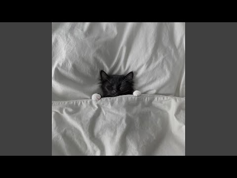 Мій кіт і я