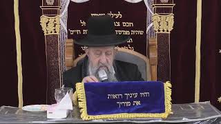 הרב בן ציון מוצפי • בית הכנסת סודאי שידור חי (בית הכנסת מוסאיוף) - התמונה מוצגת ישירות מתוך אתר האינטרנט יוטיוב. זכויות היוצרים בתמונה שייכות ליוצרה. קישור קרדיט למקור התוכן נמצא בתוך דף הסרטון