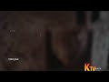 Oru Partale Solli Aalaichen Hd Video Song Deiva Vaakku SPB 1080p