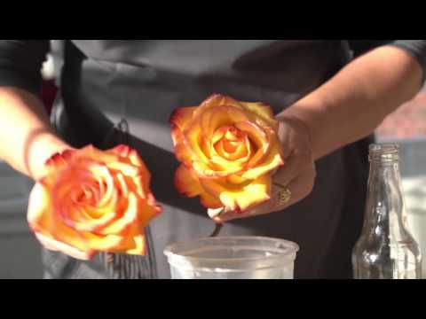 How to Preserve Flowers with Wax