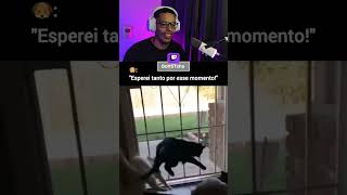 Nem viram o cachorro chegando #shorts