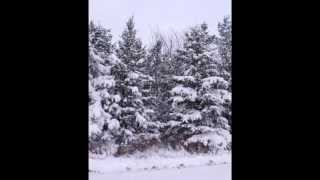 Spiegel im Spiegel - Arvo Pärt