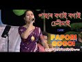 পাহাৰ বগাই বগাই চেনীমাই || Papori Gogoi || Non-Stop Song || From Mulagaon Rongil