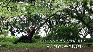 preview picture of video 'Wisata Banyuwangi - De Djawatan Benculuk'