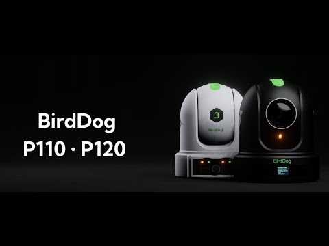 This. Is. BirdDog P110 & P120.