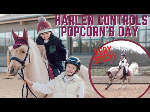 HARLEN CONTROLS POPCORN'S DAY! * THE SPICIEST POPCORN HAS EVER BEEN! *