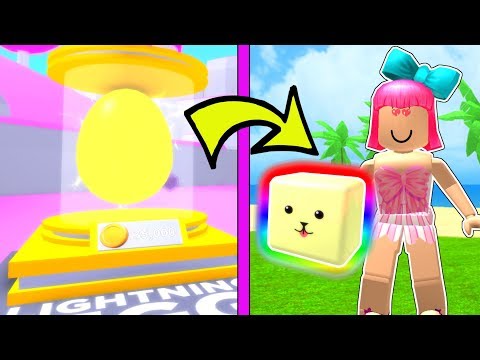 I Am The Richest Player In Cookie Simulator Roblox Mrnoobie - roblox i got a golden legendary pet cookie simulator