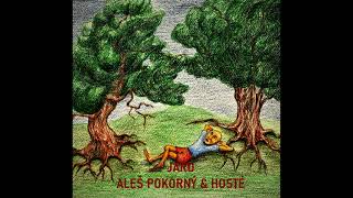 Jaro - Aleš Pokorný & hosté (ZRCADLO 2023)