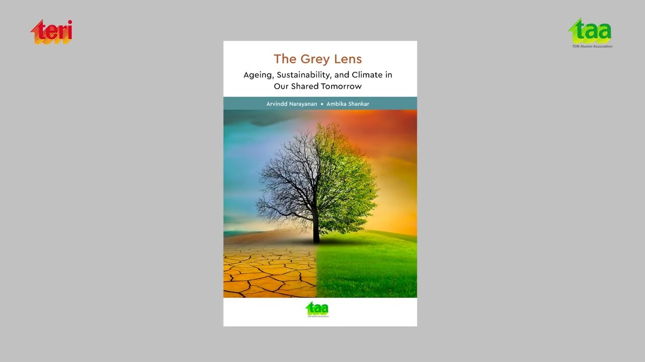 An unstable climate. A rapidly ageing world. Where do they meet? Grey Lens