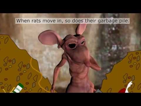 Electronic Rat Killer Chamber by Aspectek