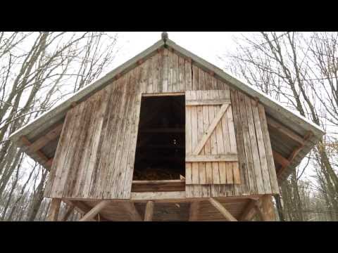 HAZAI VADÁSZ TV Magazin - 2014. február 2-i adás