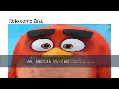 The Trainer King cast video trial 0