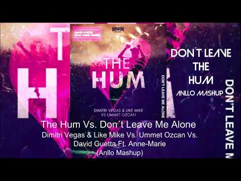 The Hum Vs. Don´t Leave Me Alone (Anllo Mashup)