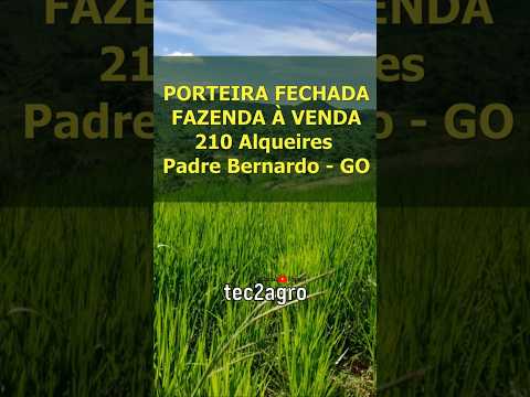 🌱 PORTEIRA FECHADA