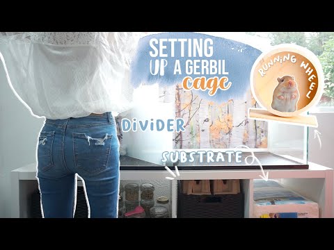 How To Set Up A Gerbil Cage!