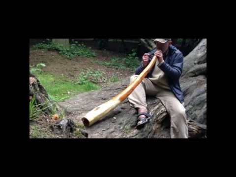 Yew Didgeridoo 'Taxus Carmen' in F# by Paul Osborn. Made in UK